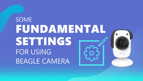 Some fundamental settings for using Beagle Camera